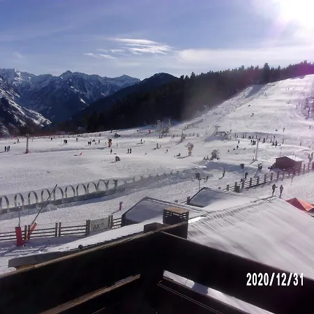 Un Isard Au Pied Des Pistes