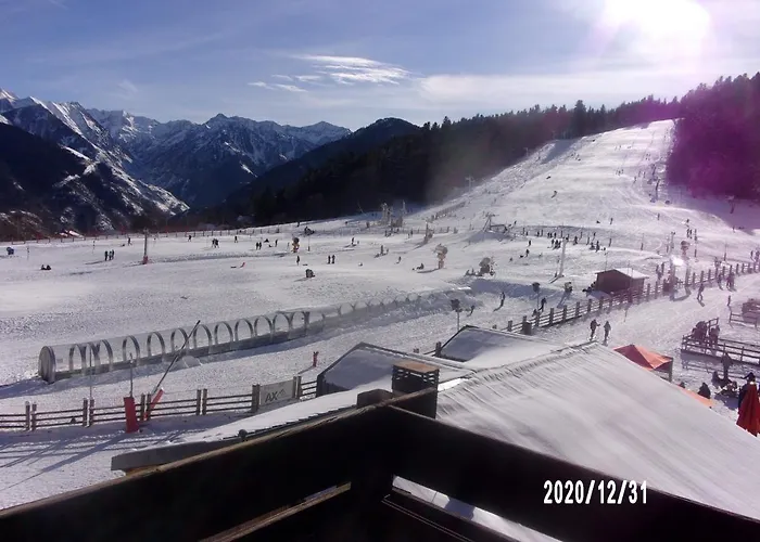 Un Isard Au Pied Des Pistes