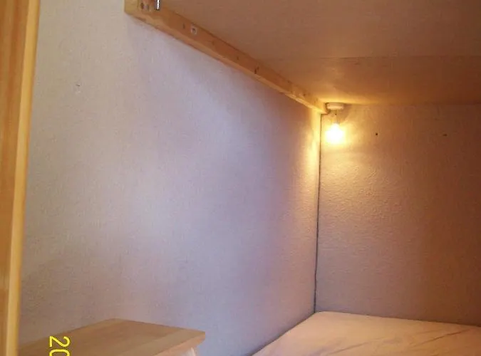 Un Isard Au Pied Des Pistes *