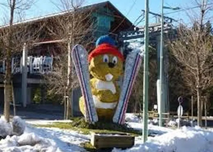 Un Isard Au Pied Des Pistes Apartment *